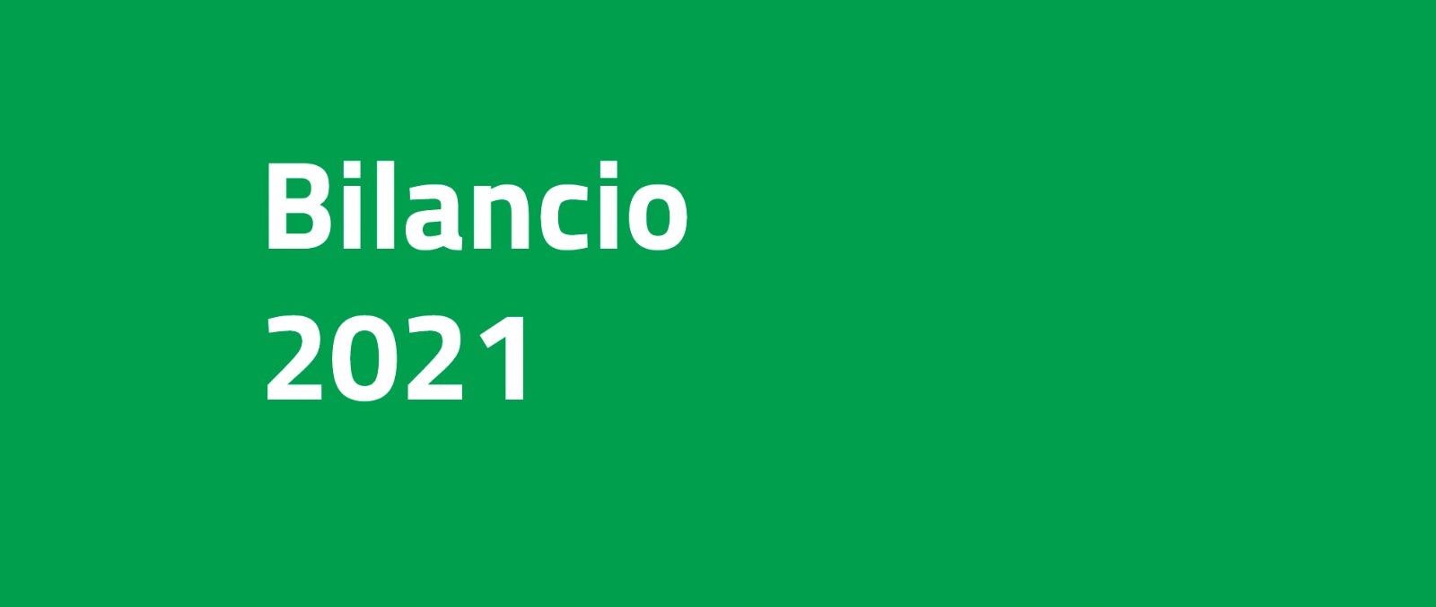 Bilancio 2020-01